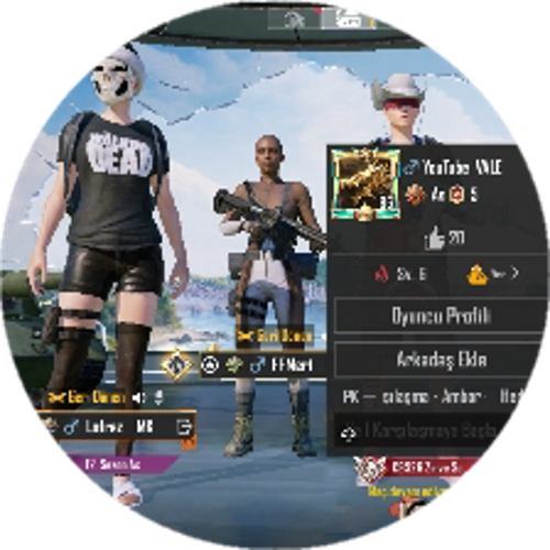 WMNxParadox